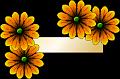 fleurs et nature (85)